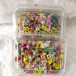 Himalayan Dry FLower