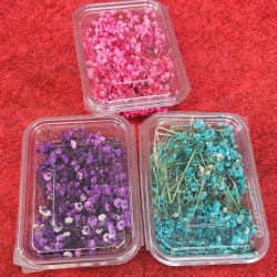 Baby's Breath Flower Box