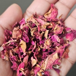 Dry Rose Petals