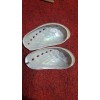 White Abalone shell