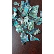 Abalone Shell Chips