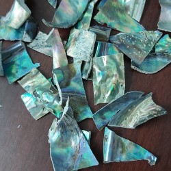 Abalone Shell Chips