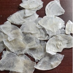 Mica Shell