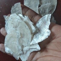 Mica Shell