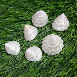 Pyramid Shell
