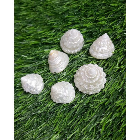 Pyramid Shell