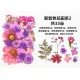 Natural Dried Flowers Natural Dried Flowers