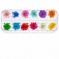 24Pcs Real Pressed Flower Lace Dried