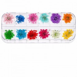 24Pcs Real Pressed Flower Lace Dried