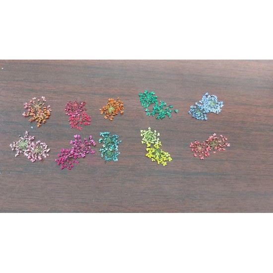 10 Colors Real Dried Flowers 10 Colors Real Dried Flowers
