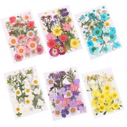 Natural Dried Flowers