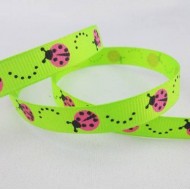 Bright Green Ladybug