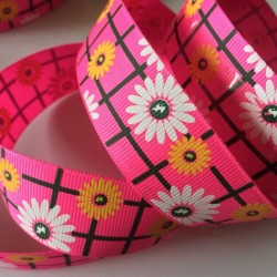 Pink sunflower