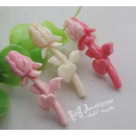 Long Candy rose 