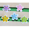 5color flower 