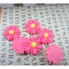 Pink Sunflower 