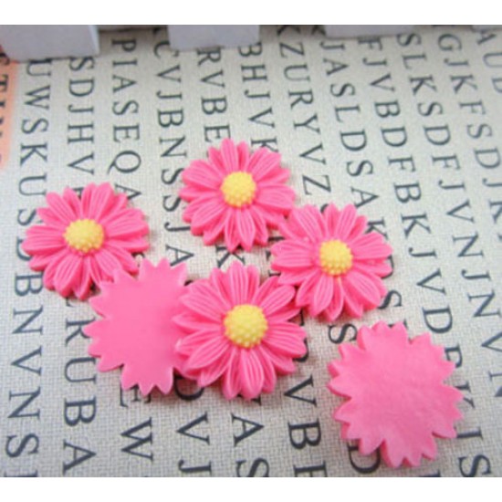 Pink Sunflower 