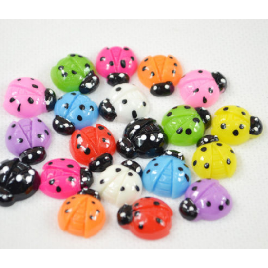 Lady bug