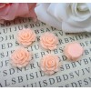 Peach Rose - 15mm