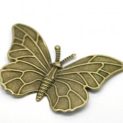 Bronze butterfly full butterfly