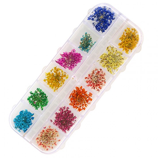 12 Colors Real Dried Flowers 12 Colors Real Dried Flowers