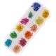 12 Colors Real Dried Flowers 12 Colors Real Dried Flowers