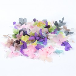 Real 3D Dried Flower