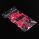 Real Pressed Dried Flowers Real Pressed Dried Flowers