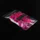 Real Pressed Dried Flowers Real Pressed Dried Flowers