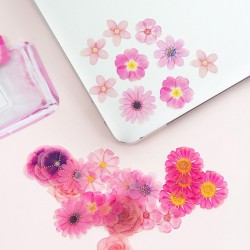 Lovely Flower Stickers