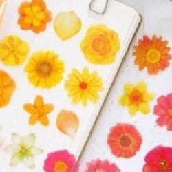 Lovely Flower Stickers