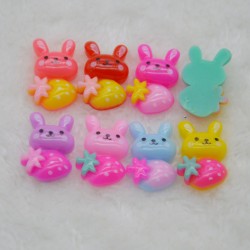 Mix Rabbit Resin