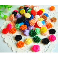 Mix rose - 16mm