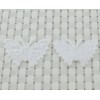 White Butterfly