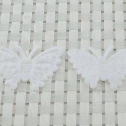 White Butterfly