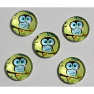 Blue Owl Dome