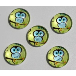 Blue Owl Dome