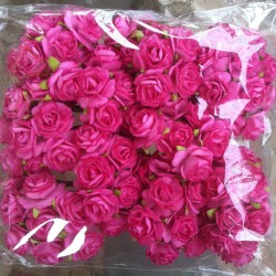 Mulberry rose - Pink