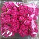 Mulberry rose - Pink